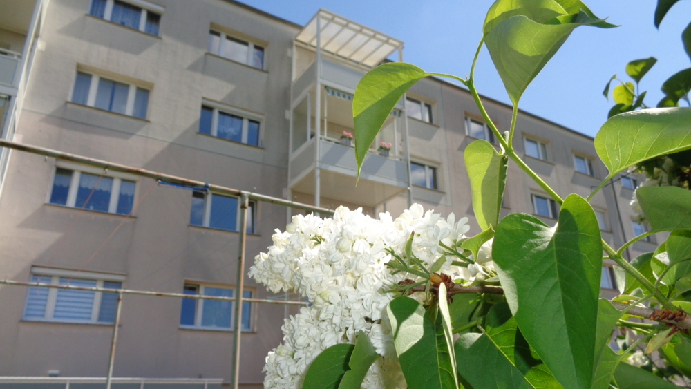 Balkon .