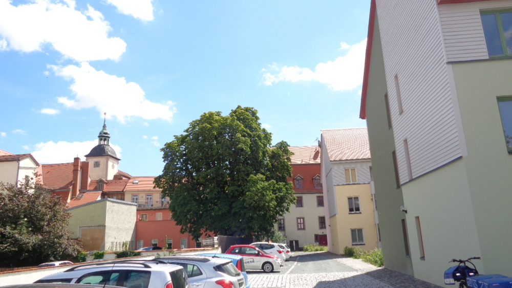 Thumbnail-2-Raum-Wohnung mit Loggia