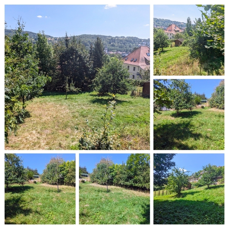 Thumbnail-Baugrundstück in ruhiger Lage von Steinbach-Hallenberg & top Aussicht