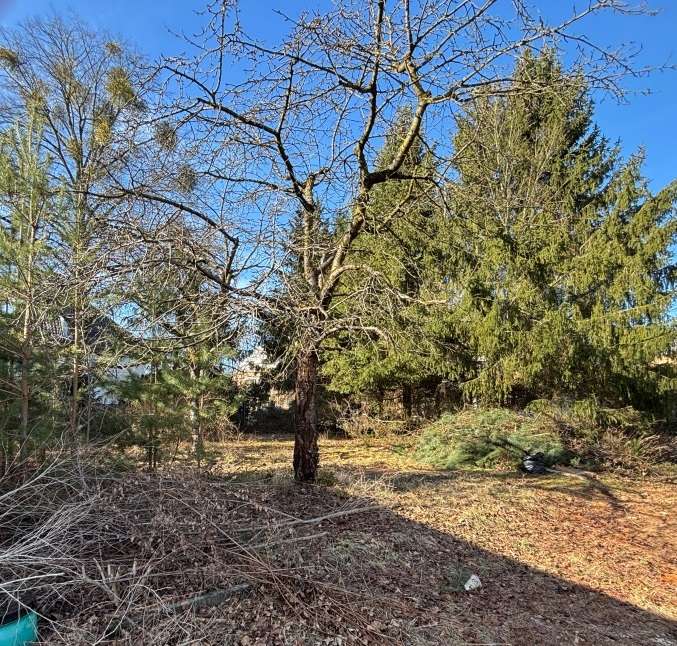 Thumbnail-Grundstück zu verkaufen in Potsdam 299.400,00 € 500 m²