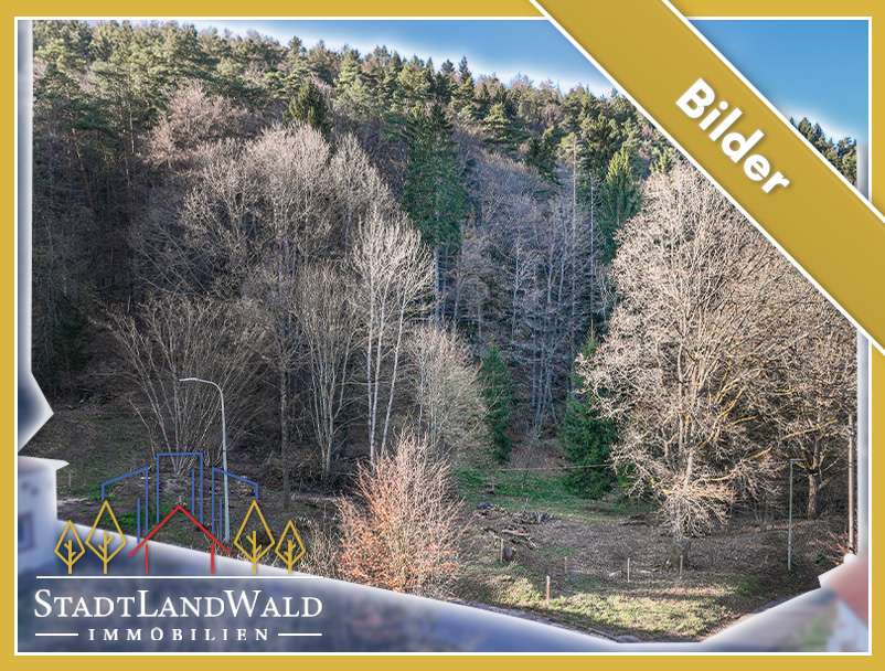 Thumbnail-Grundstück zu verkaufen in Elmstein 165.000,00 € 10580 m²