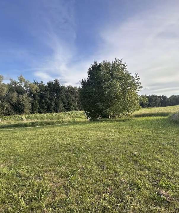 Thumbnail-Grundstück zu verkaufen in Ahorn 109.500,00 € 650 m²