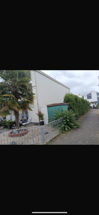 Thumbnail-Haus zum Kaufen in Raunheim 649.000,00 € 180 m²