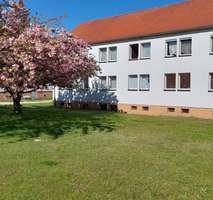Thumbnail-Wohnung zum Mieten in Buchholz 333,75 € 44.5 m²
