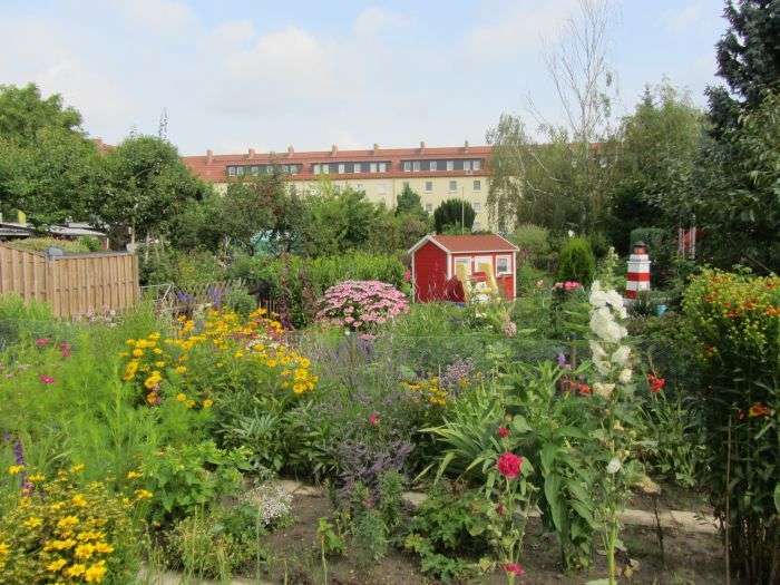 Thumbnail-Wohnung zum Mieten in Schönebeck 329,00 € 50.34 m²