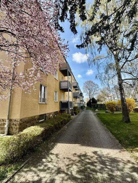 Thumbnail-Wohnung zum Kaufen in Dresden 180.000,00 € 67 m²