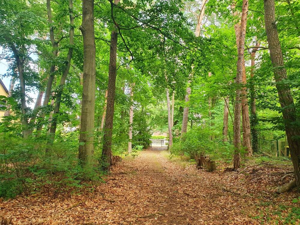 Thumbnail-Grundstück zu verkaufen in Michendorf 350.000,00 € 870 m²