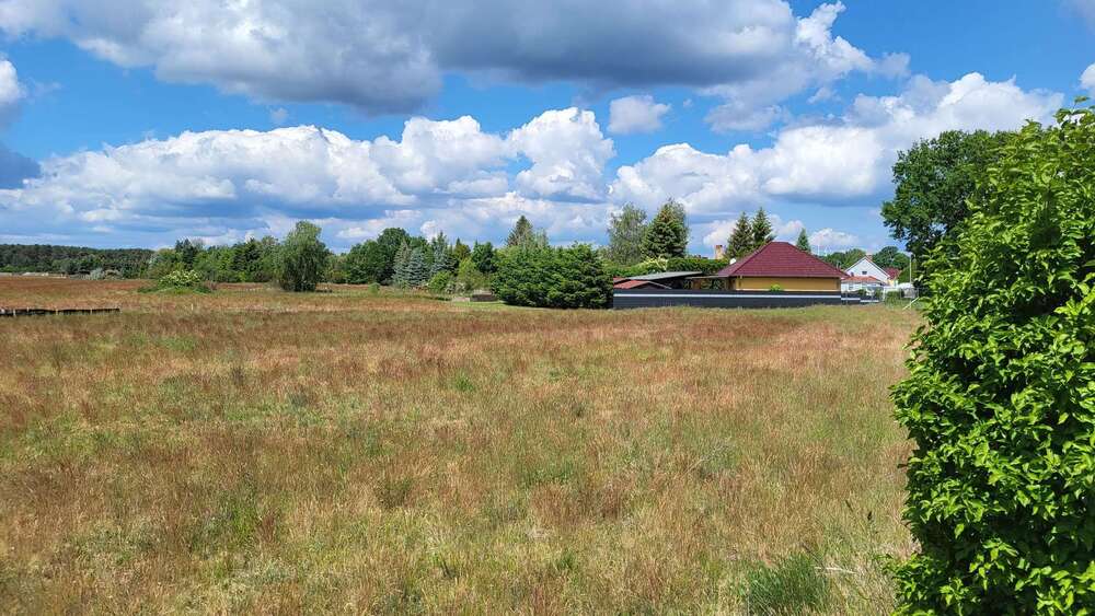 Thumbnail-Grundstück zu verkaufen in Schönwald 69.990,00 € 763 m²