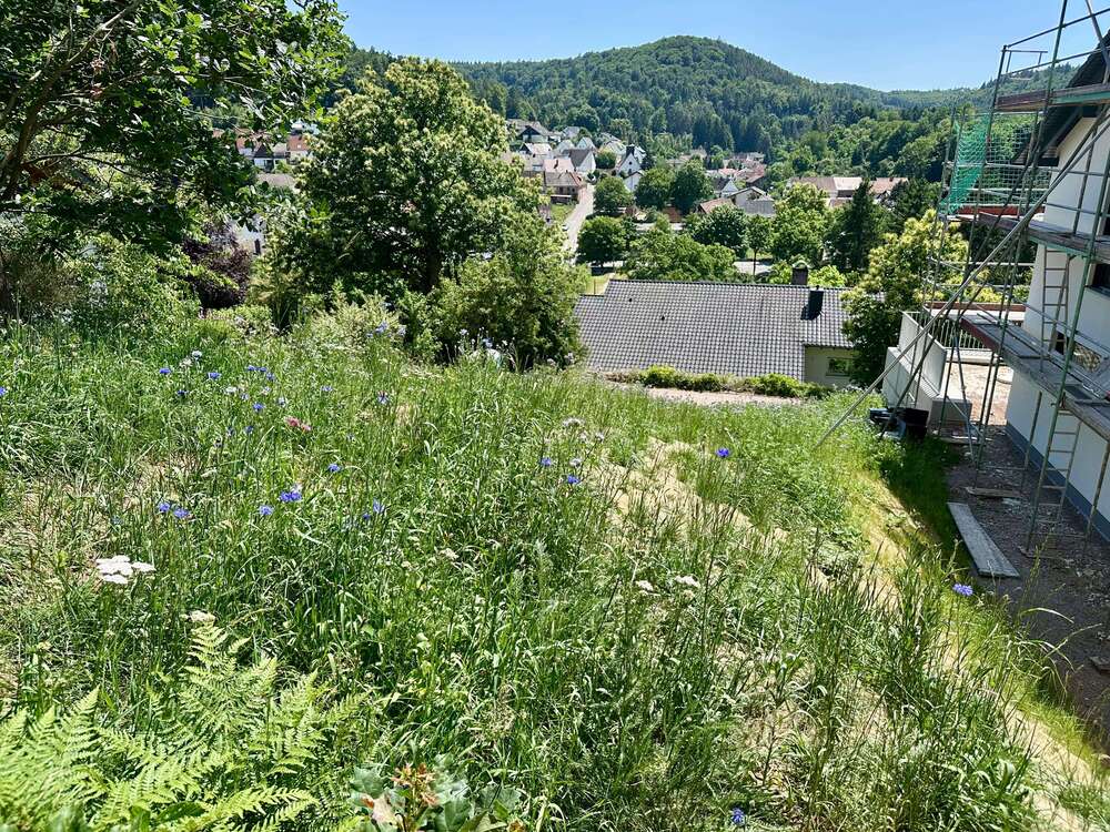 Thumbnail-Grundstück zu verkaufen in Kaiserslautern 145.000,00 € 745 m²