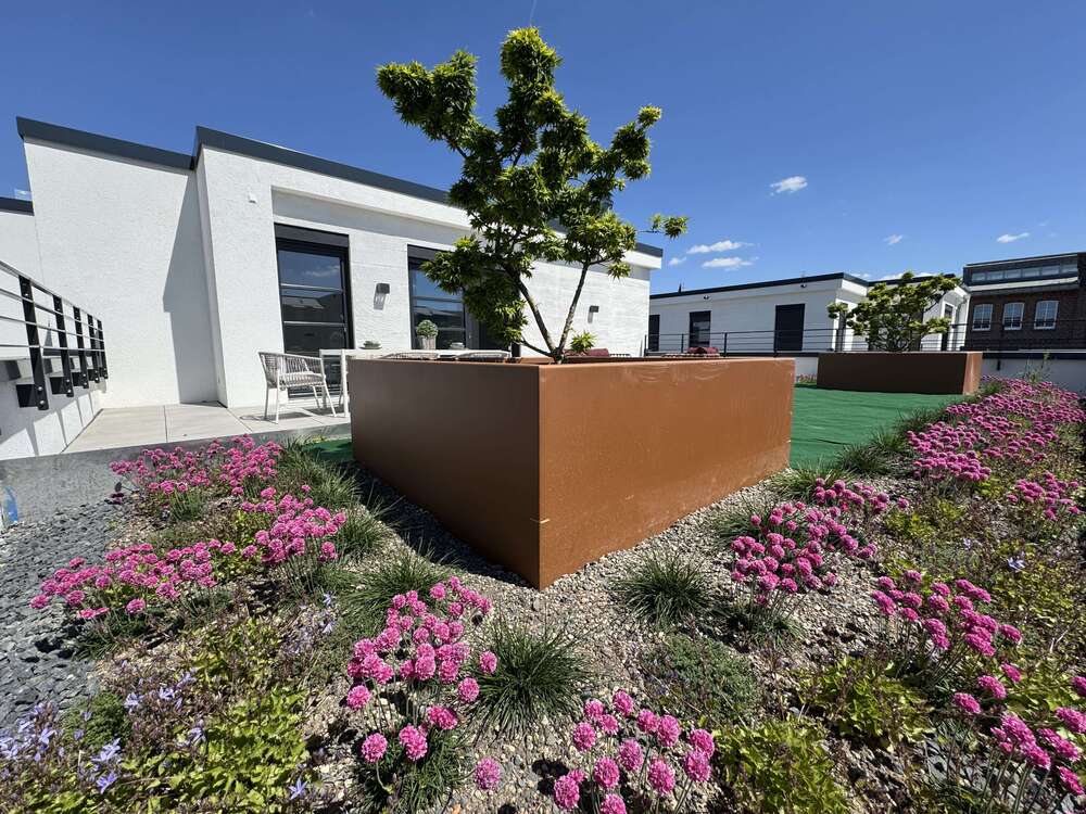 Thumbnail-Wohnung zum Kaufen in Düsseldorf 1.590.000,00 € 176 m²