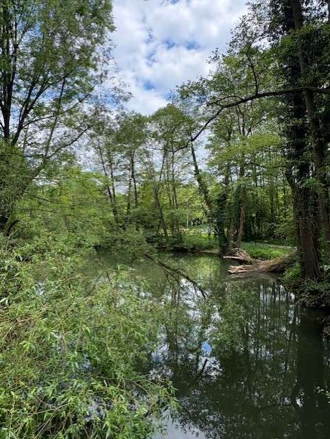 Thumbnail-Wohnung zum Kaufen in Lauf a. d. Pegnitz 225.000,00 € 76 m²