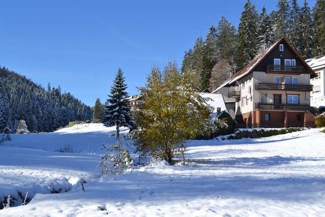 Thumbnail-Haus zum Kaufen in Enzklösterle 290.000,00 € 170 m²