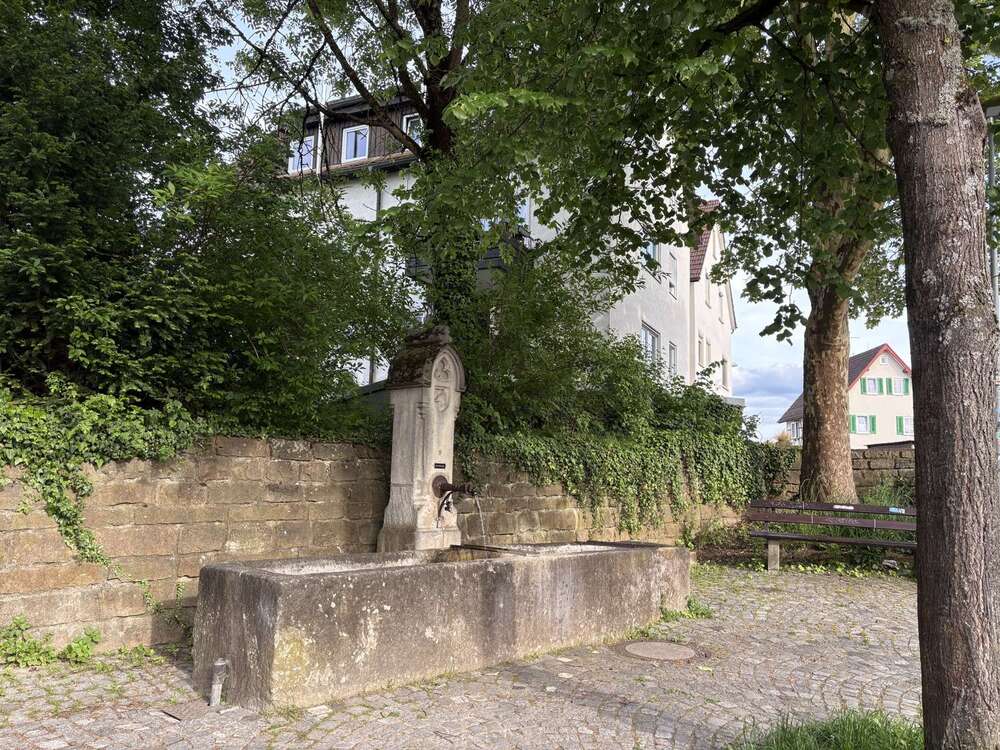 Thumbnail-Wohnung zum Kaufen in Tübingen 449.000,00 € 99 m²