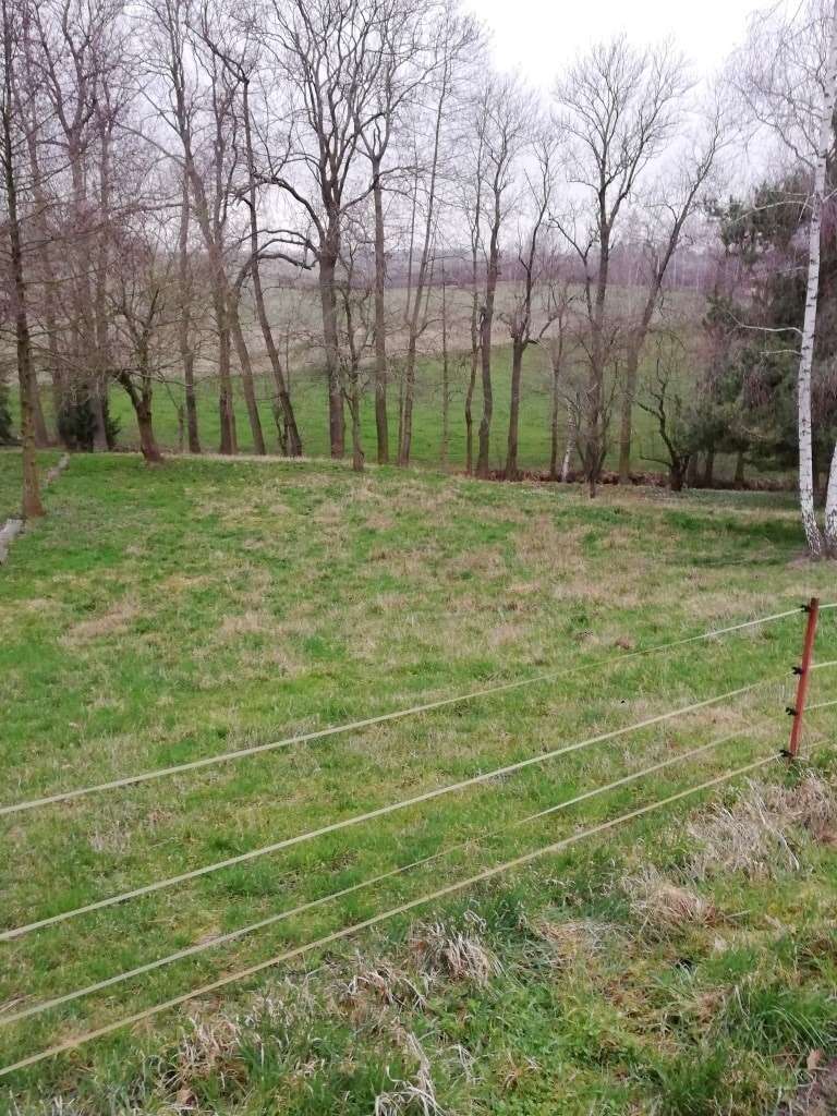 Thumbnail-Grundstück zu verkaufen in Mügeln 58.000,00 € 1055 m²