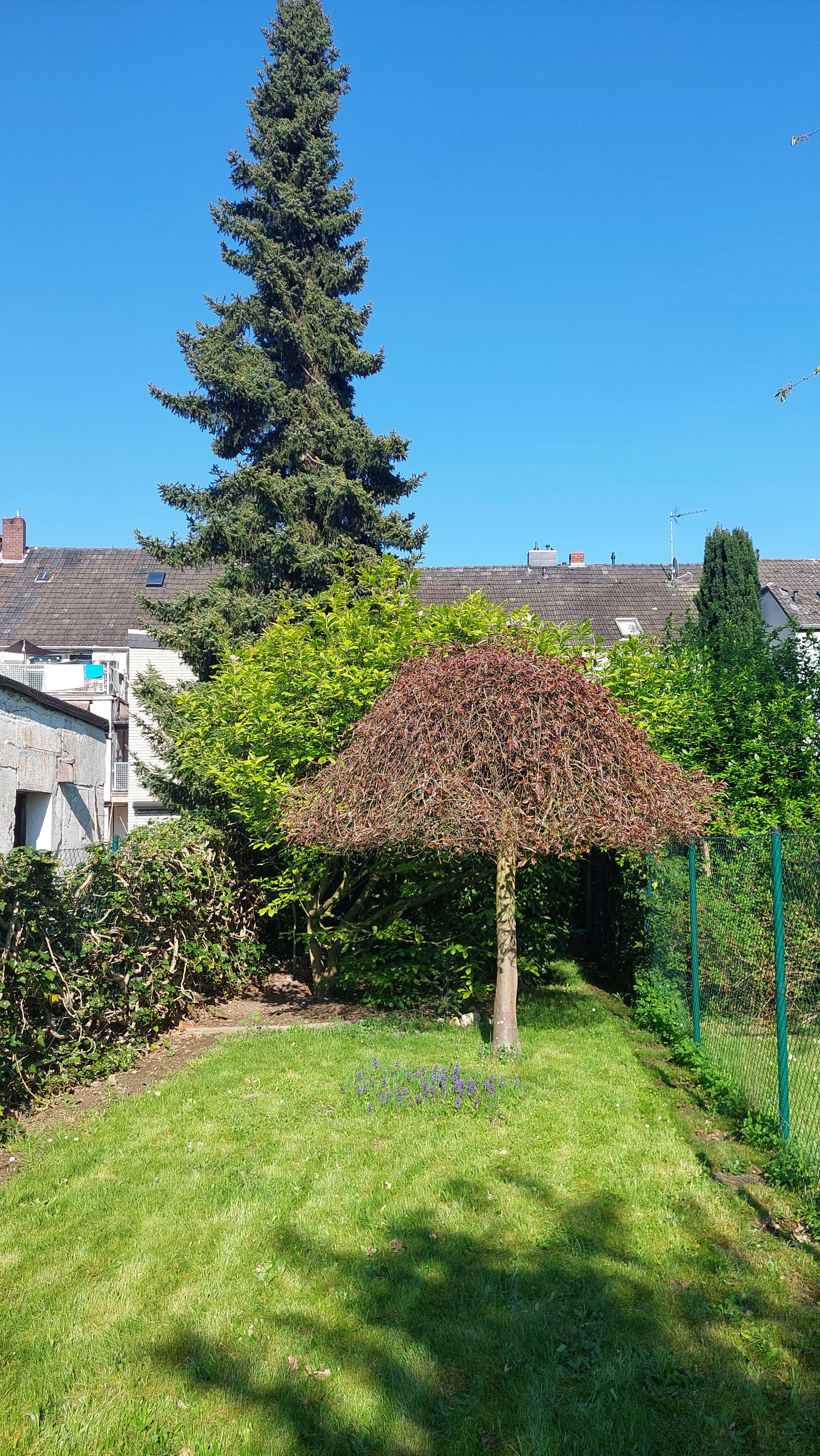 Thumbnail-Haus zum Kaufen in Mönchengladbach 225.000,00 € 129 m²