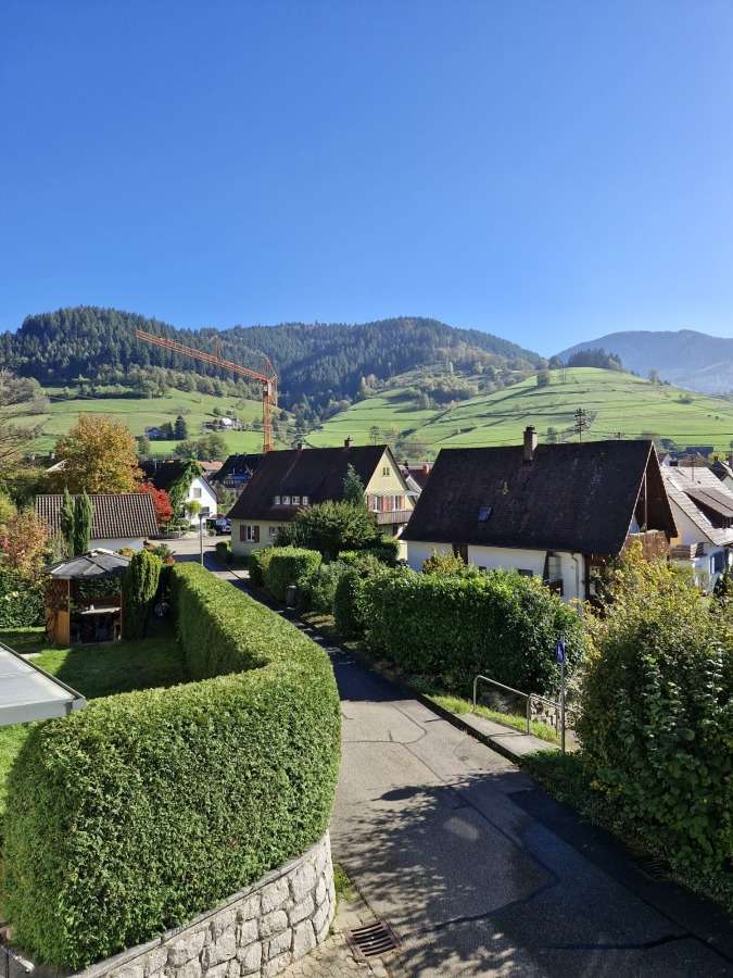 Thumbnail-Haus zum Kaufen in Münstertal Schwarzwald 675.000,00 € 222 m²