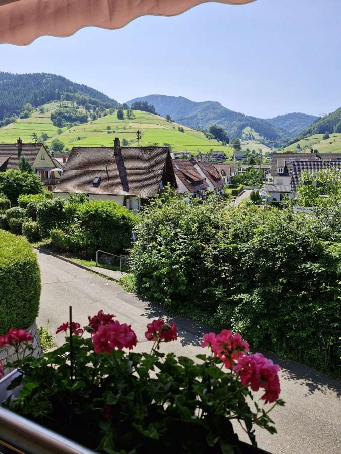 Thumbnail-Haus zum Kaufen in Münstertal Schwarzwald 698.000,00 € 222 m²