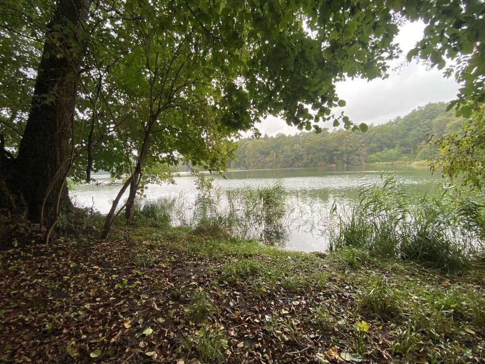 Thumbnail-Grundstück zu verkaufen in Finowfurt 24.999,00 € 21841 m²