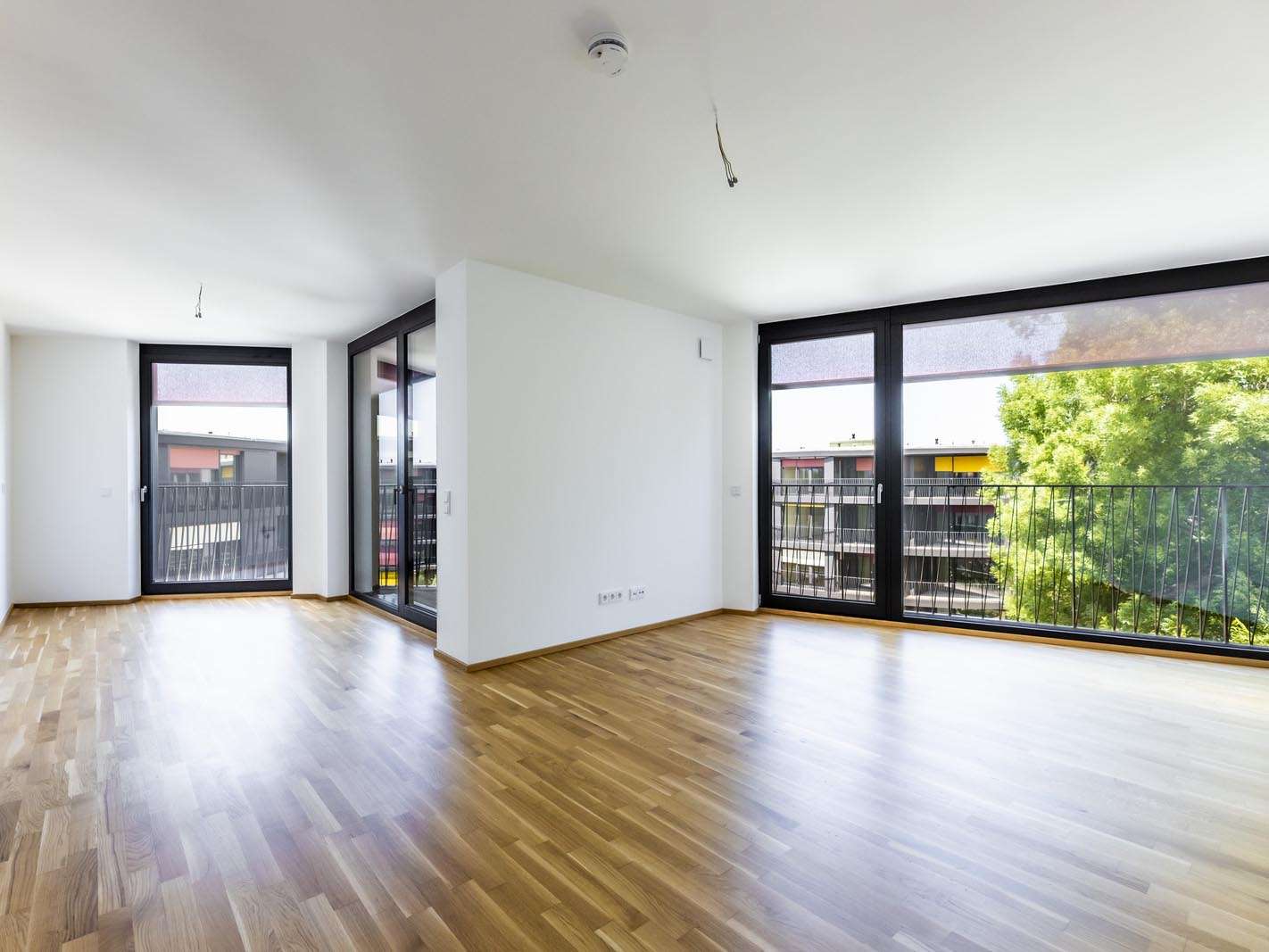 Thumbnail-Wohnung zum Kaufen in Dresden 281.800,00 € 45.22 m²
