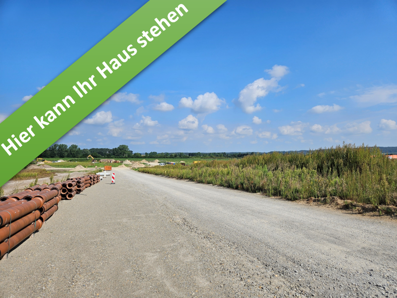 Thumbnail-Haus zum Kaufen in Königslutter 399.350,00 € 109 m²