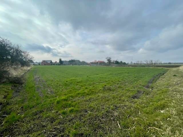 Thumbnail-Grundstück zu verkaufen in Schwedt 55.000,00 € 965 m²