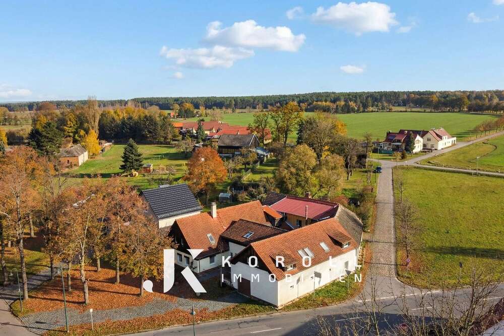 Thumbnail-Haus zum Kaufen in Lauta 110.000,00 € 360 m²