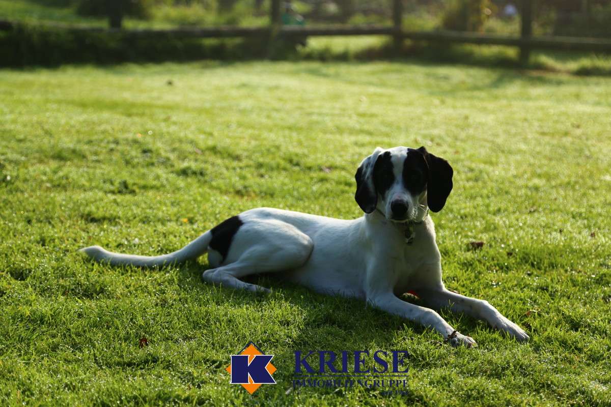 Thumbnail-Grundstück zu verkaufen in Germering 639.000,00 € 356.5 m²