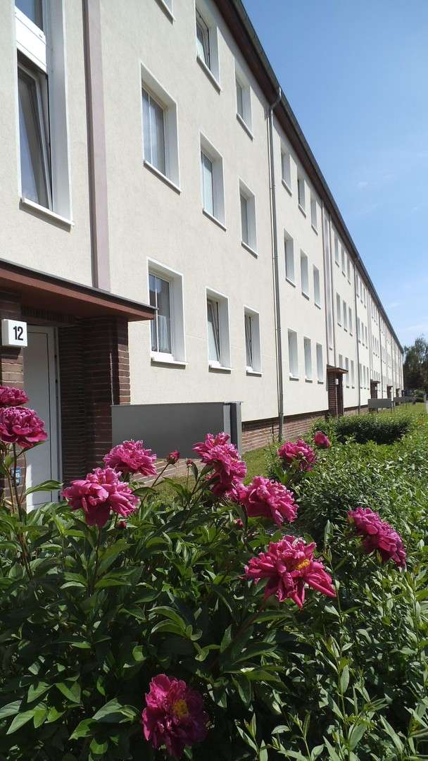 Thumbnail-Wohnung zum Mieten in Magdeburg 470,00 € 62 m²