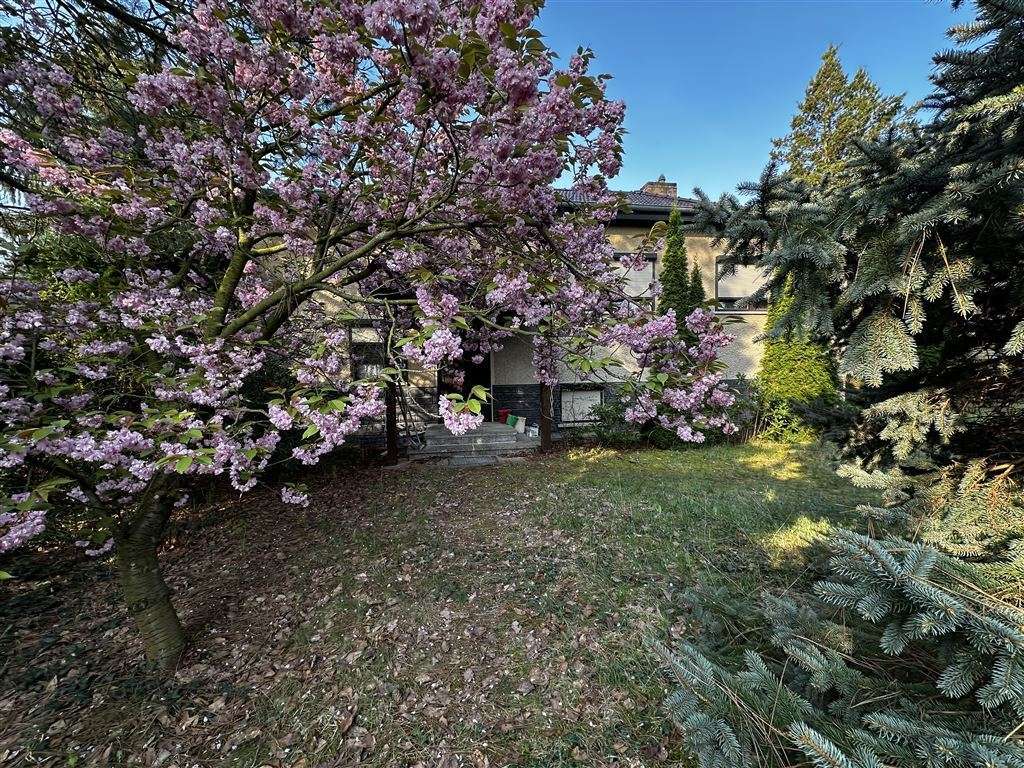 Thumbnail-Haus zum Kaufen in Schulzendorf 435.000,00 € 120 m²