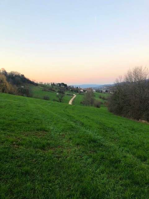 Thumbnail-Grundstück zu verkaufen in Wittnau 1.000.000,00 € 1031 m²