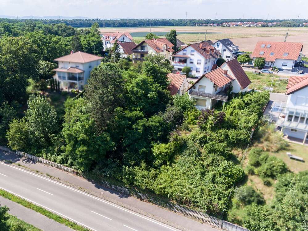 Thumbnail-Grundstück zu verkaufen in Germersheim 250.000,00 € 501 m²