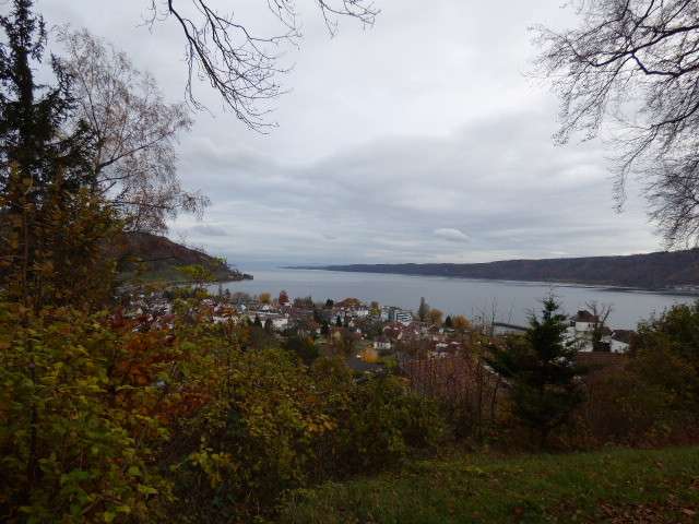 Thumbnail-Wohnung zum Mieten in Bodman-Ludwigshafen Ludwigshafen 750,00 € 67 m²