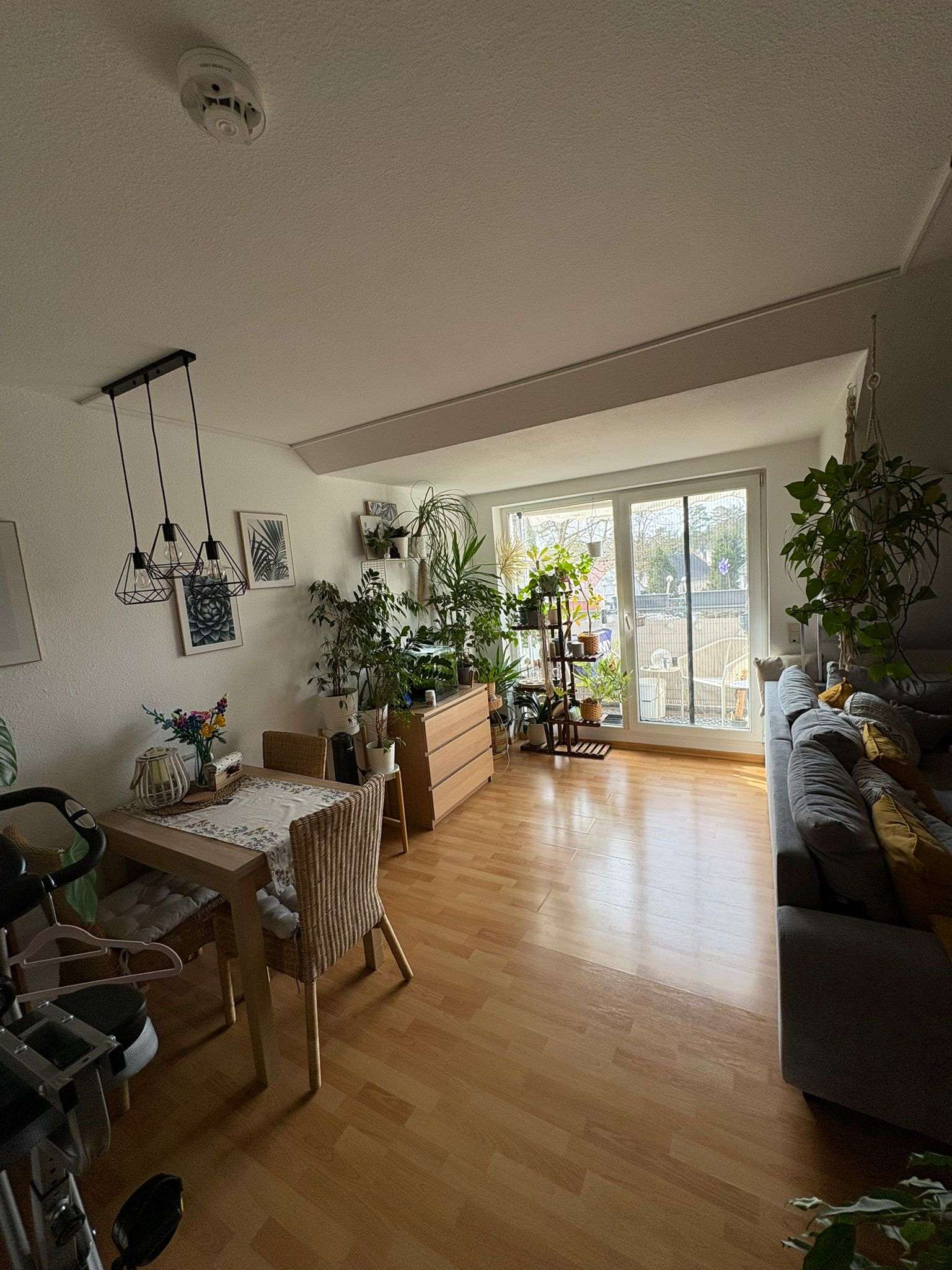 Thumbnail-Wohnung zum Mieten in Falkensee 715,00 € 50.6 m²