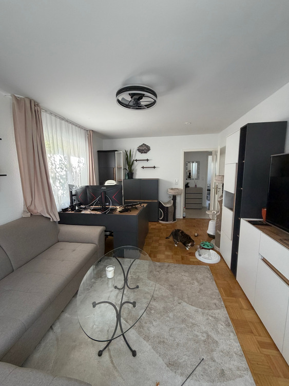 Thumbnail-Wohnung zum Mieten in Ludwigsburg 890,00 € 50 m²
