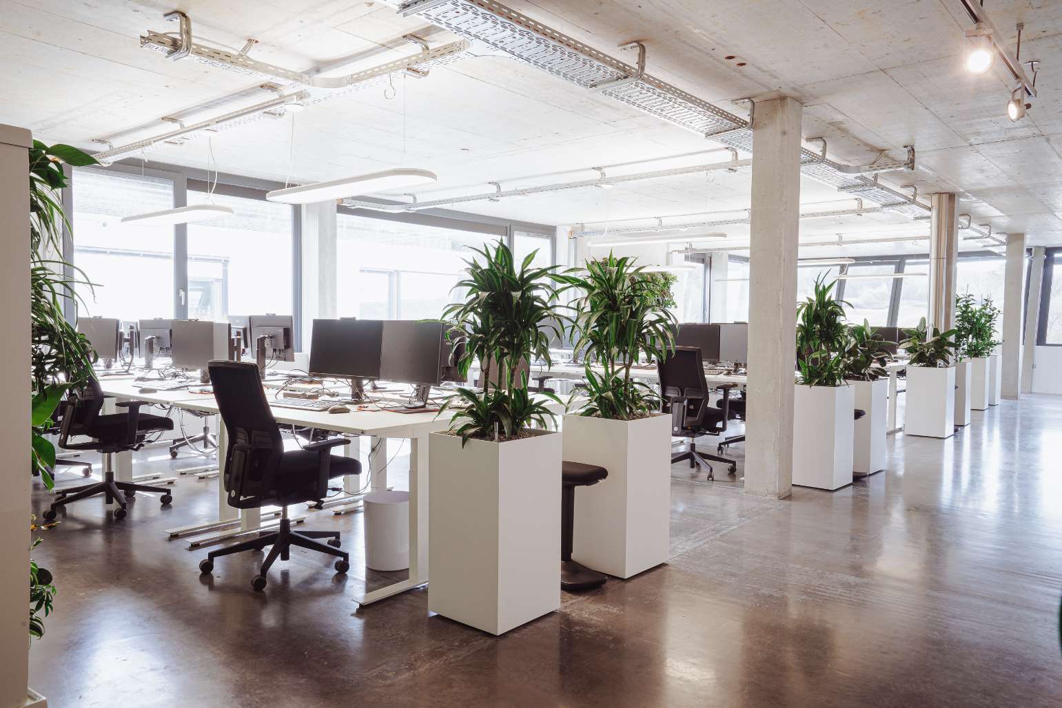 Thumbnail-Büro in Weissach 2.600,00 € 54 m²