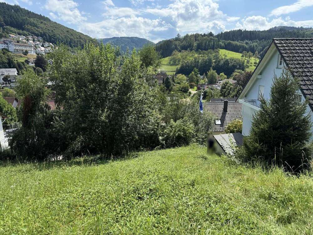 Thumbnail-Grundstück zu verkaufen in Ottenhöfen 139.000,00 € 1160 m²