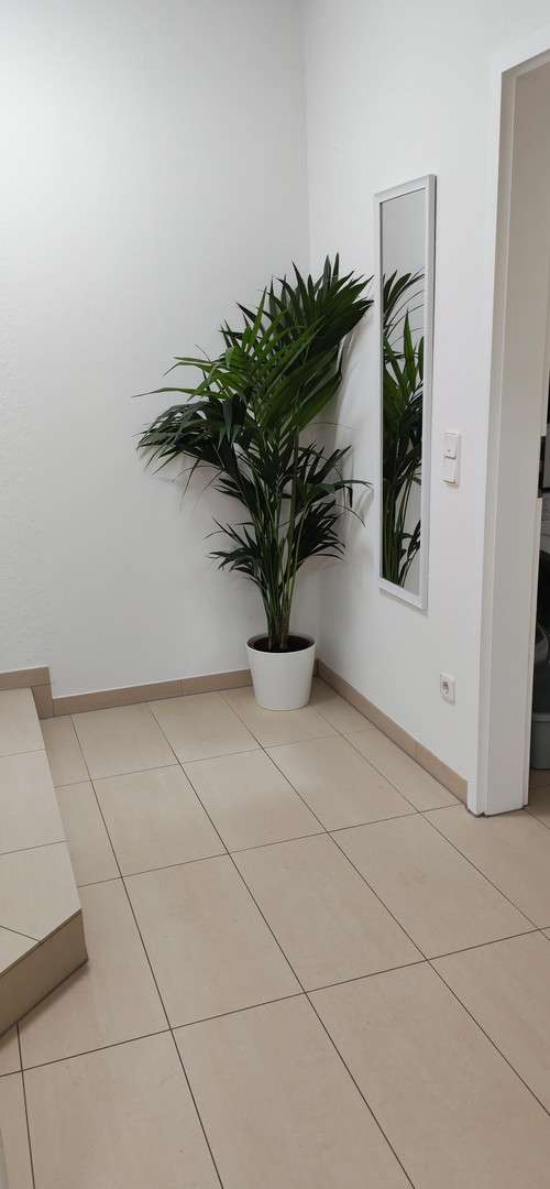 Thumbnail-Wohnung zum Mieten in Odenthal 790,00 € 58 m²