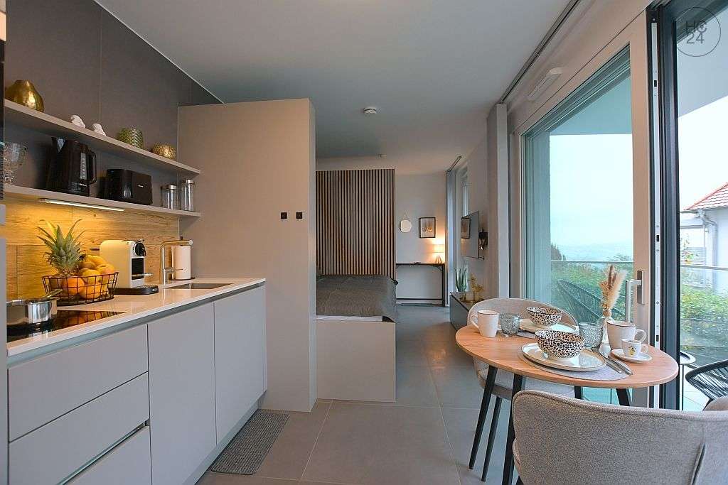Thumbnail-Wohnung zum Mieten in Stuttgart 1.250,00 € 26 m²