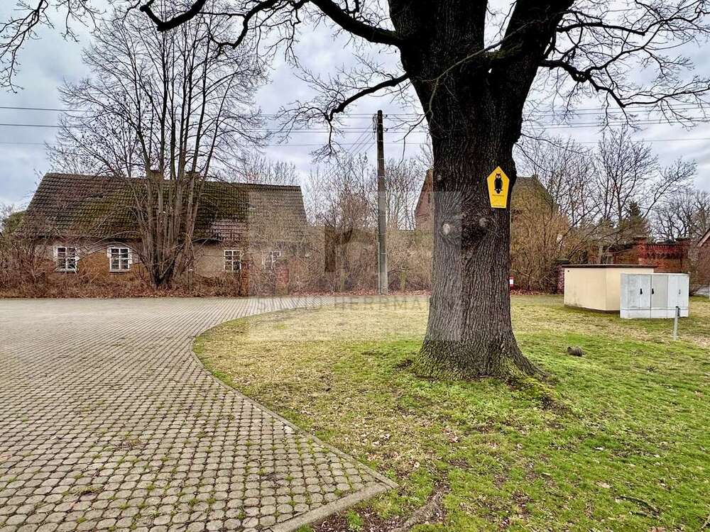 Thumbnail-Grundstück zu verkaufen in Vetschau Missen 65.000,00 € 1791 m²