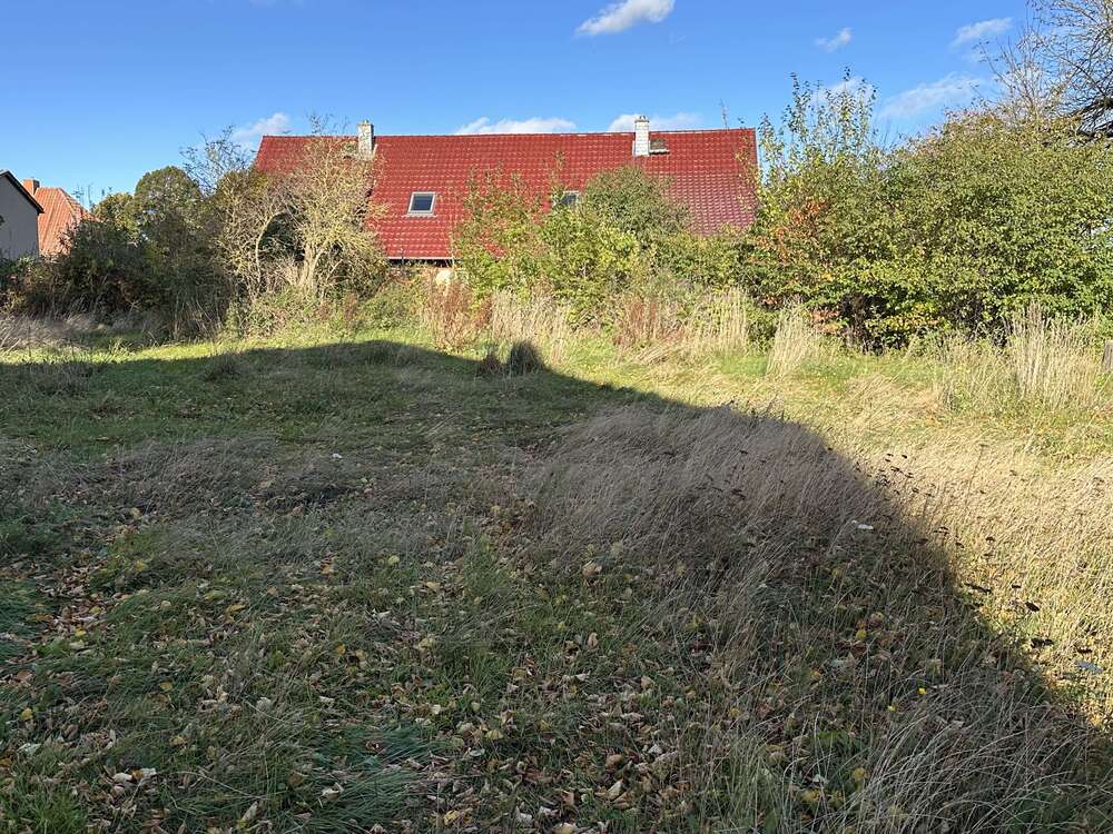 Thumbnail-Grundstück zu verkaufen in Klütz (Damshagen) 99.000,00 € 633 m²