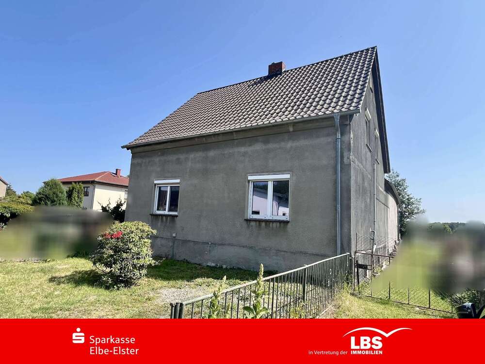 Thumbnail-Haus zum Kaufen in Hohenleipisch 55.000,00 € 100 m²