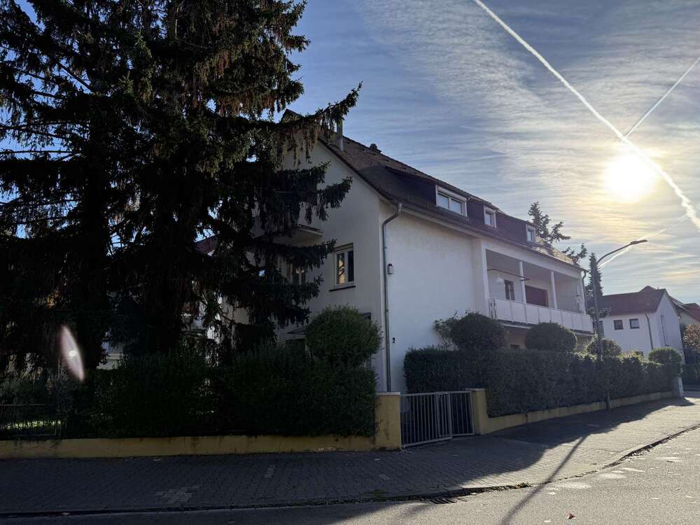 Thumbnail-Haus zum Kaufen in Heidelberg 1.900.000,00 € 302 m²