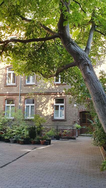 Thumbnail-Wohnung zum Mieten in Wiesbaden 1.150,00 € 81 m²