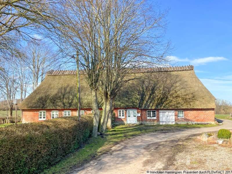 Thumbnail-Haus zum Kaufen in Niesgrau 390.000,00 € 156 m²