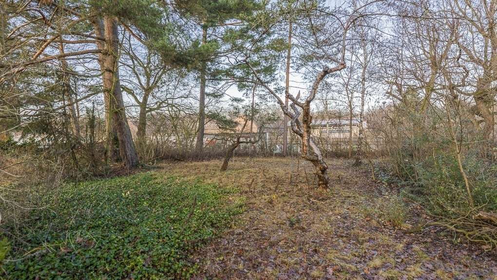 Thumbnail-Grundstück zu verkaufen in Berlin 750.000,00 € 1649 m²
