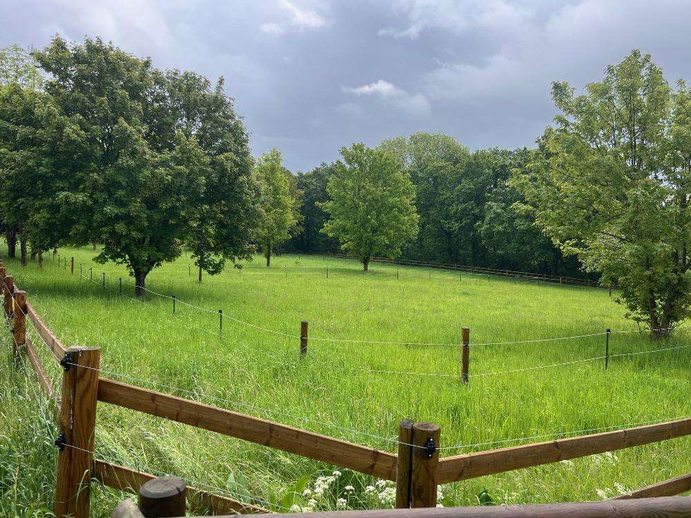 Thumbnail-Grundstück zu verkaufen in Dortmund-Syburg 169.000,00 € 10000 m²