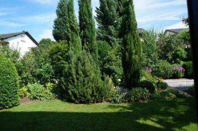 Thumbnail-Wohnung zum Mieten in Baden-Baden 330,00 € 21.38 m²