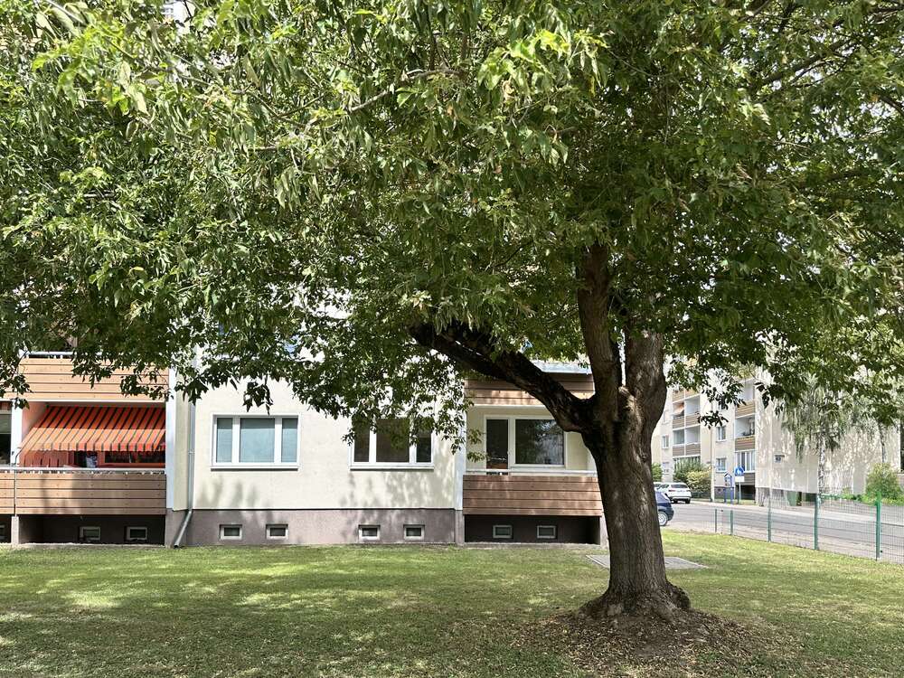 Thumbnail-Wohnung zum Mieten in Magdeburg 470,00 € 60 m²