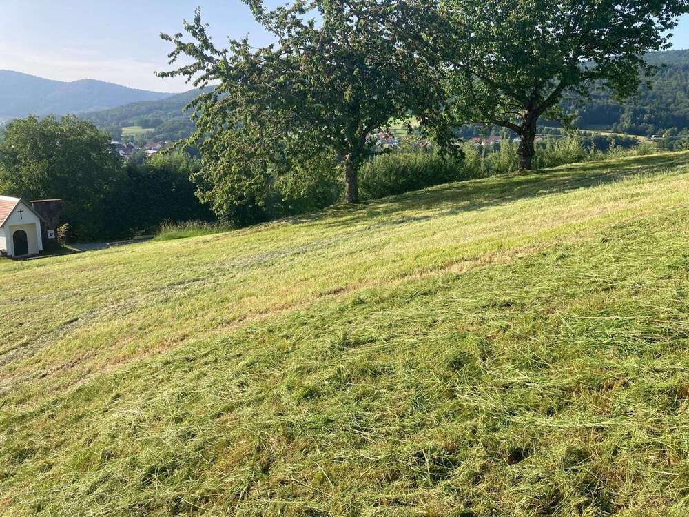 Thumbnail-Grundstück zu verkaufen in Hunding 275.000,00 € 2806 m²