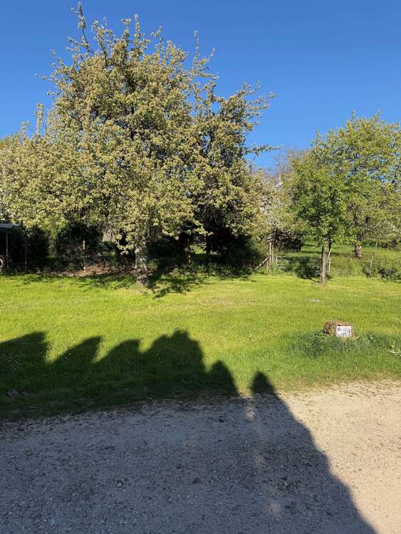 Thumbnail-Grundstück zu verkaufen in Lichtenwald 245.000,00 € 389 m²